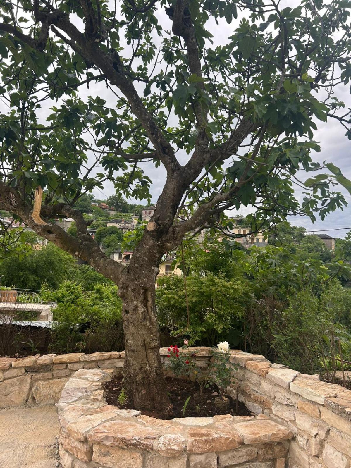 Guest House Lengo Gjirokastër Dış mekan fotoğraf
